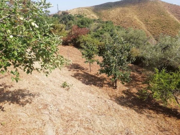 terreno agricolo in vendita a Villafranca Tirrena in zona Serro