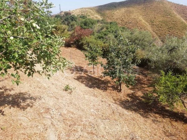 terreno agricolo in vendita a Villafranca Tirrena in zona Calvaruso