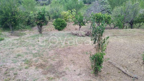 villa in vendita a Villafranca Tirrena in zona Castello