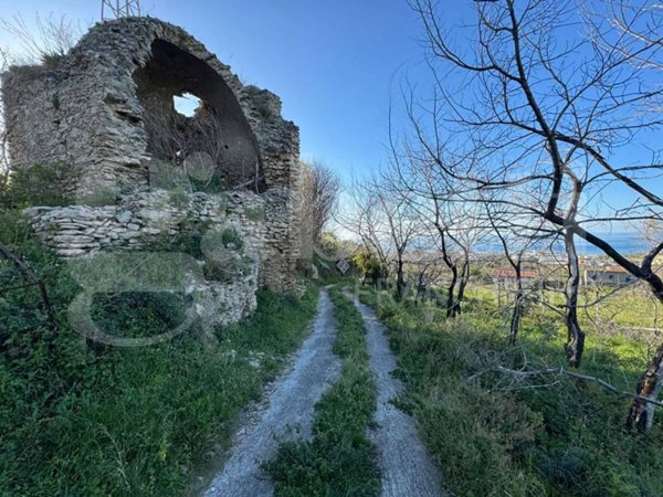 terreno agricolo in vendita a Villafranca Tirrena