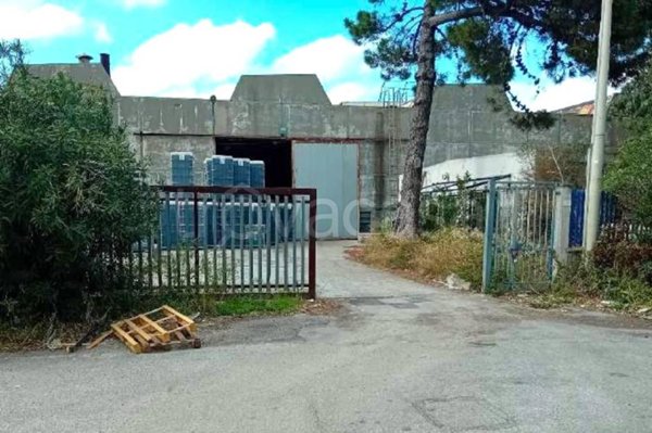 immagine annuncio 0 di 1