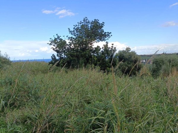 terreno agricolo in vendita a Terme Vigliatore