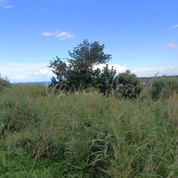 terreno agricolo in vendita a Terme Vigliatore