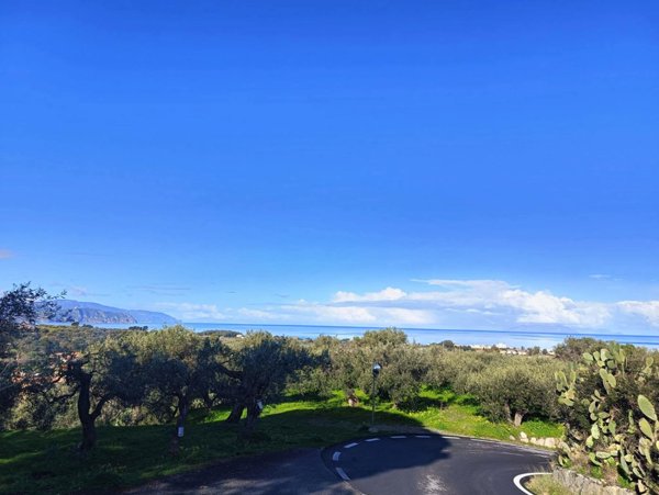 terreno agricolo in vendita a Terme Vigliatore