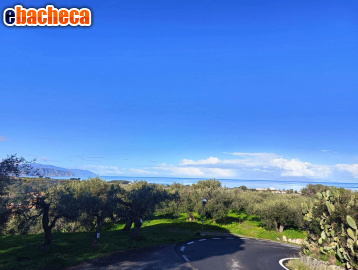 terreno agricolo in vendita a Terme Vigliatore