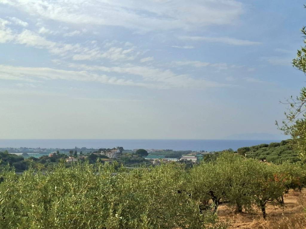 terreno agricolo in vendita a Terme Vigliatore