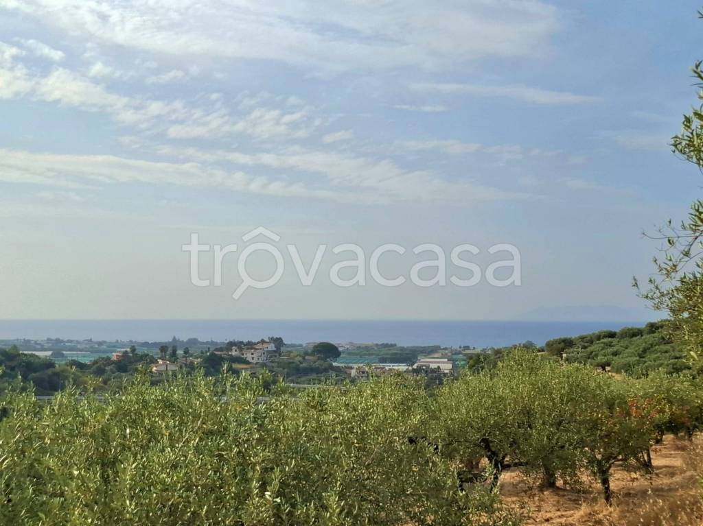 terreno agricolo in vendita a Terme Vigliatore