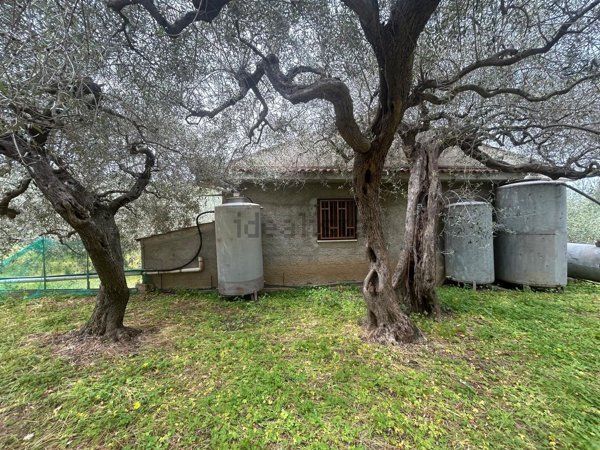 terreno agricolo in vendita a Terme Vigliatore