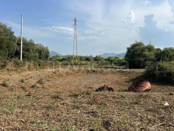 terreno agricolo in vendita a Terme Vigliatore