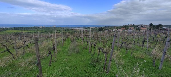 terreno in vendita a Terme Vigliatore in zona San Biagio
