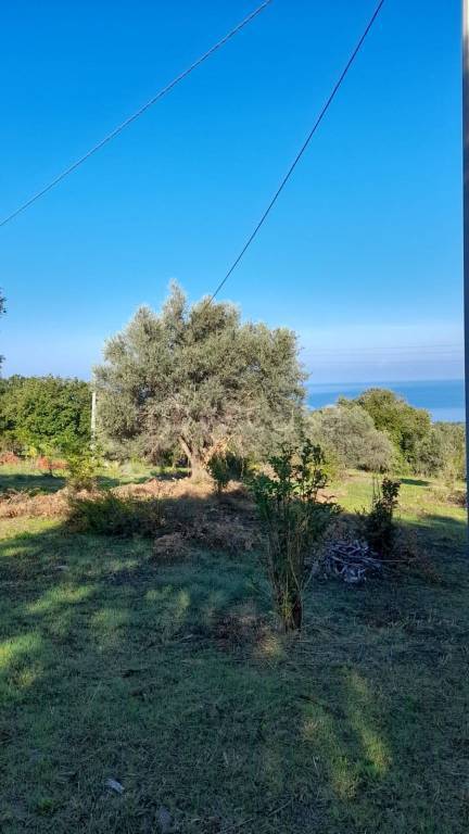 terreno agricolo in vendita ad Acquedolci