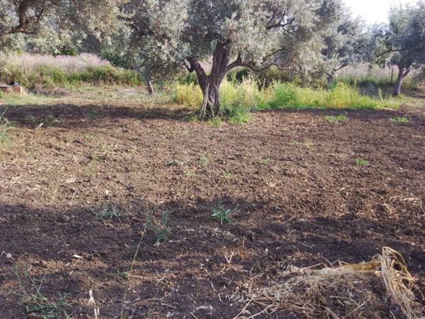 terreno agricolo in vendita ad Acquedolci