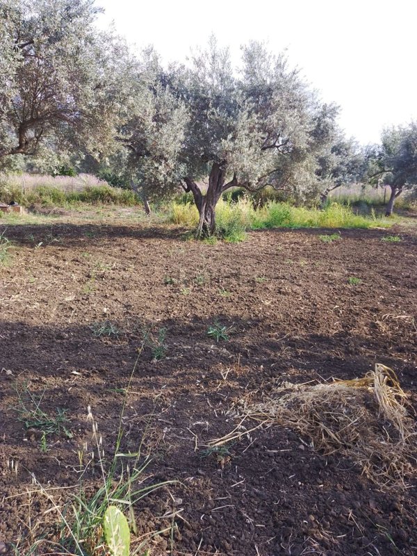 terreno edificabile in vendita ad Acquedolci