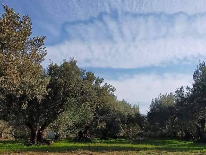 casa indipendente in vendita ad Acquedolci