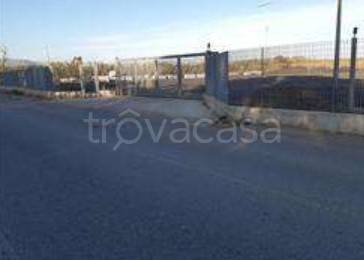 terreno agricolo in vendita a Torrenova