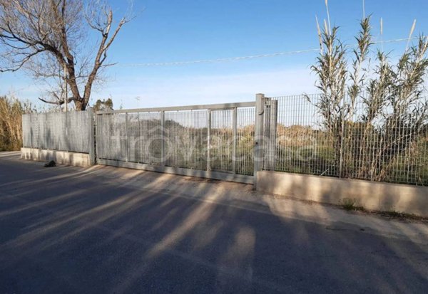 terreno agricolo in vendita a Torrenova