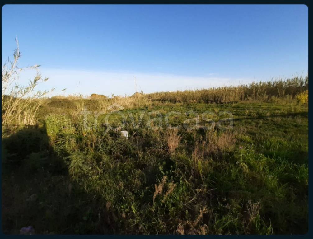 terreno agricolo in vendita a Torrenova