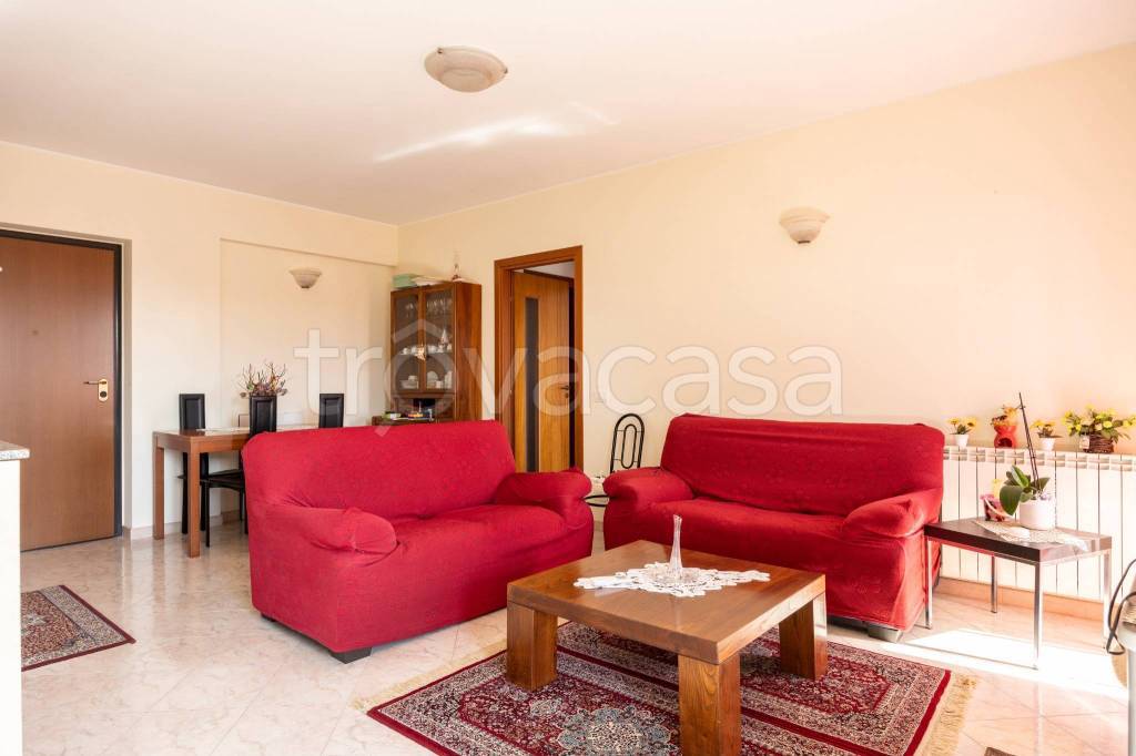 appartamento in vendita a Torrenova