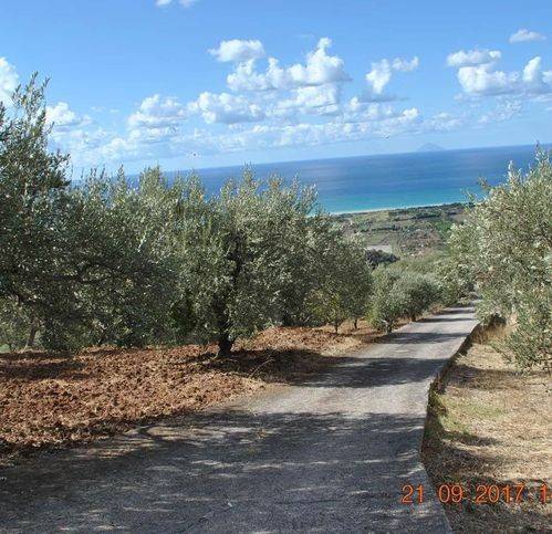 terreno agricolo in vendita a Torrenova