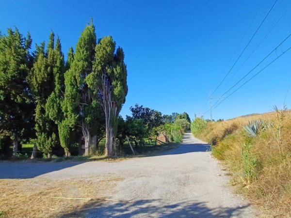 terreno agricolo in vendita a Torrenova
