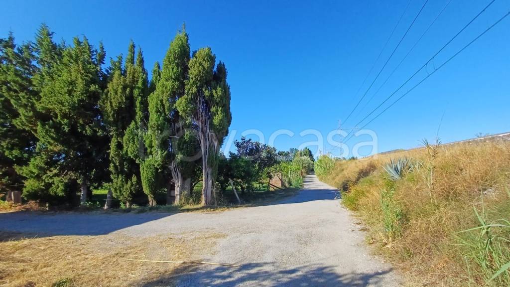 terreno agricolo in vendita a Torrenova