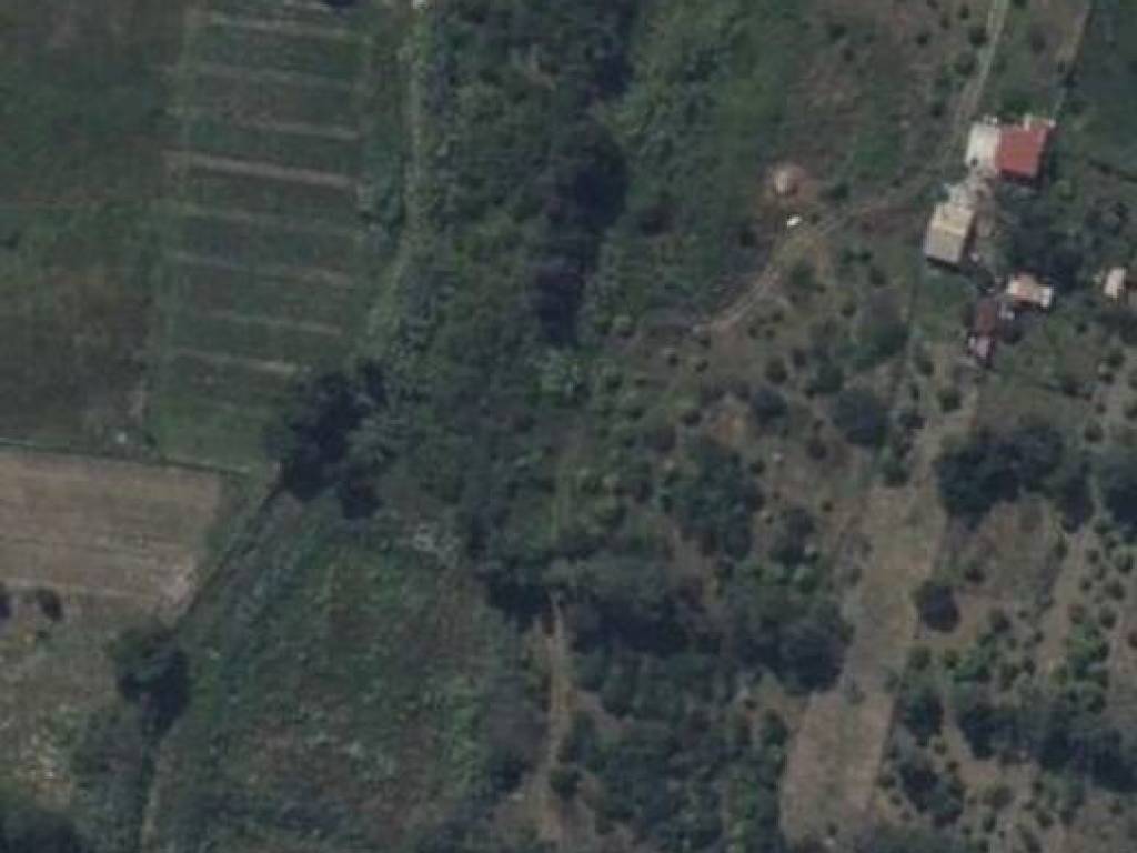 terreno agricolo in vendita a Torrenova