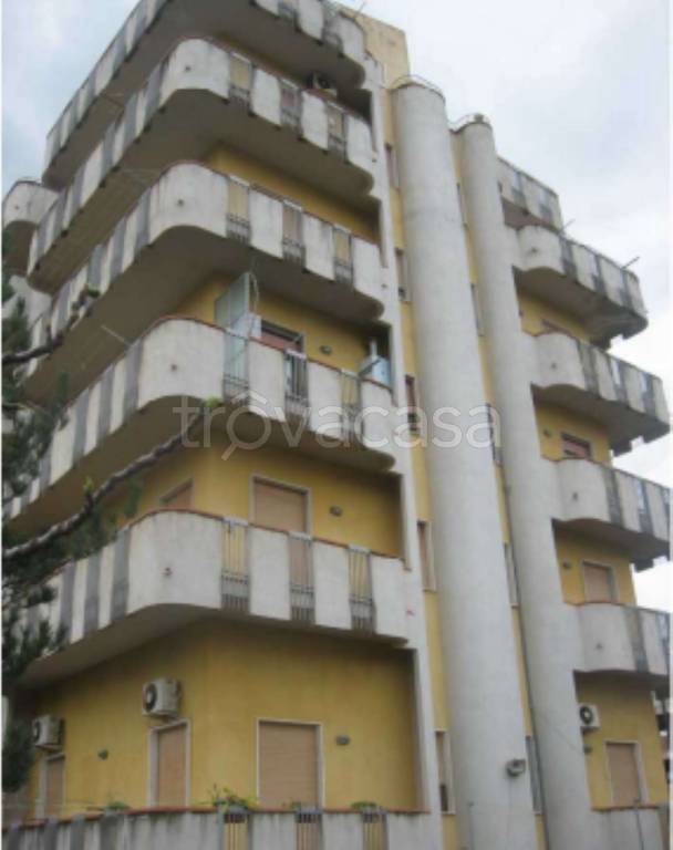 appartamento in vendita a Torrenova
