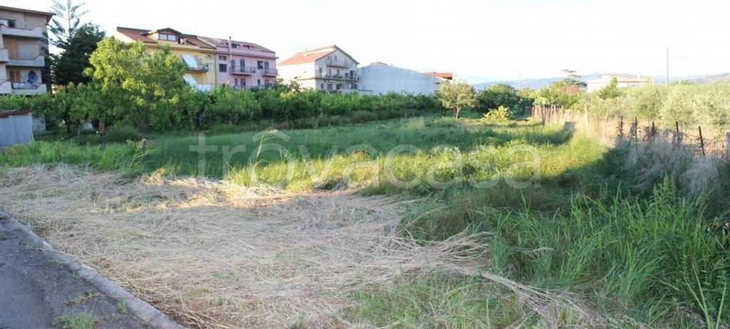 terreno agricolo in vendita a Torrenova