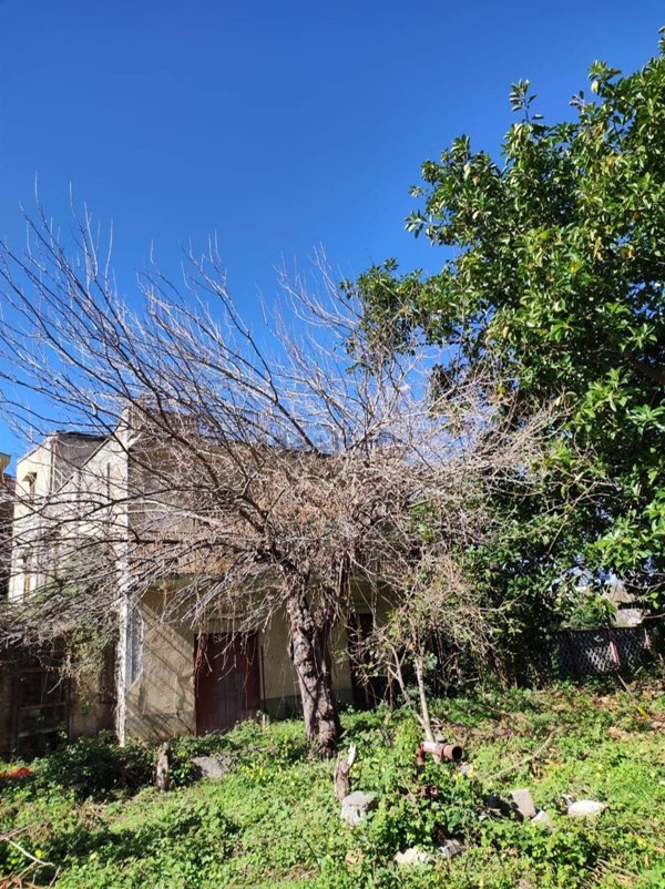 rudere in vendita a Torrenova