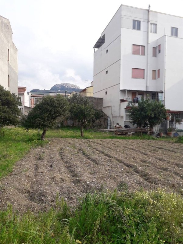 terreno agricolo in vendita a Torrenova