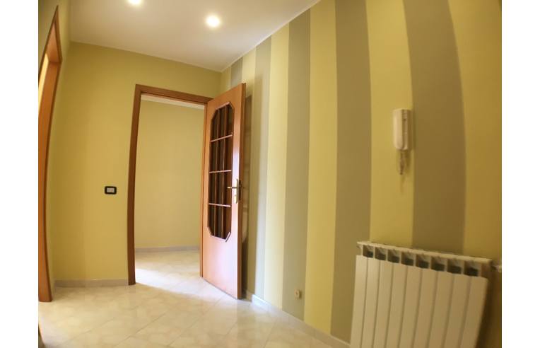 appartamento in vendita a Torrenova