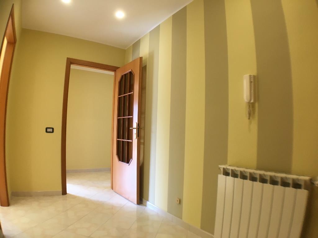 appartamento in vendita a Torrenova