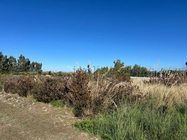 terreno edificabile in vendita a Torrenova