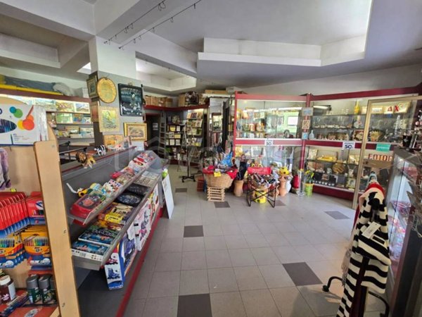 immagine annuncio 0 di 4