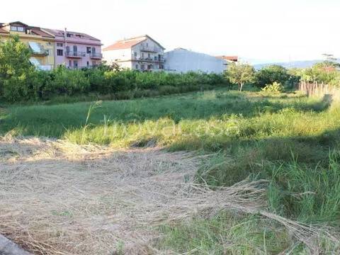 terreno agricolo in vendita a Torrenova