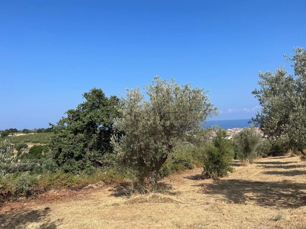 terreno agricolo in vendita a Torrenova
