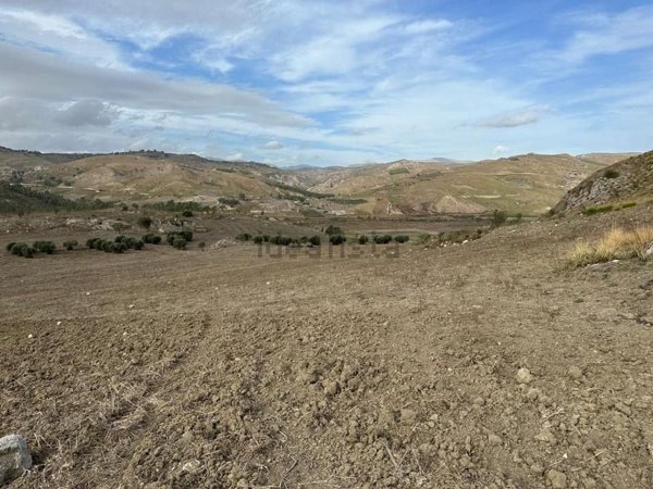 azienda agricola in vendita ad Agrigento
