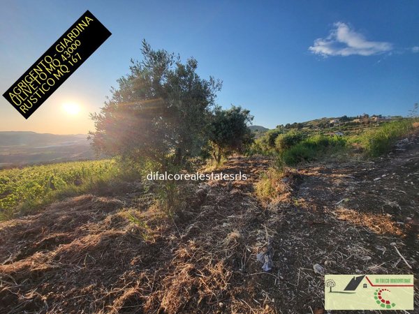 esavano in vendita ad Agrigento in zona Zingarello