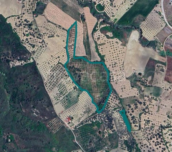 terreno agricolo in vendita ad Alessandria della Rocca