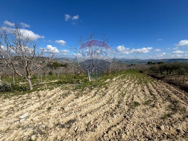casa indipendente in vendita ad Aragona
