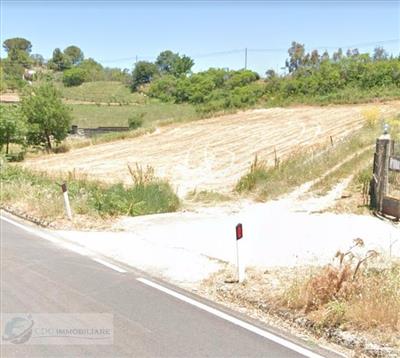 terreno agricolo in vendita a Bivona