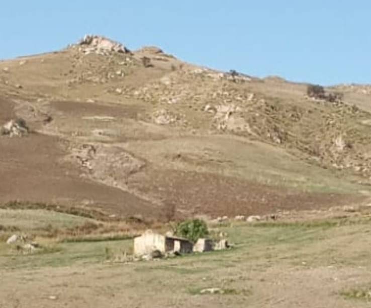 terreno agricolo in vendita a Bivona
