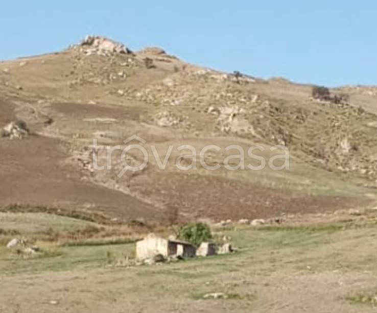 terreno agricolo in vendita a Bivona