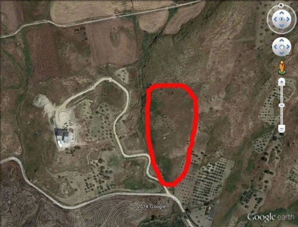 terreno agricolo in vendita a Bivona