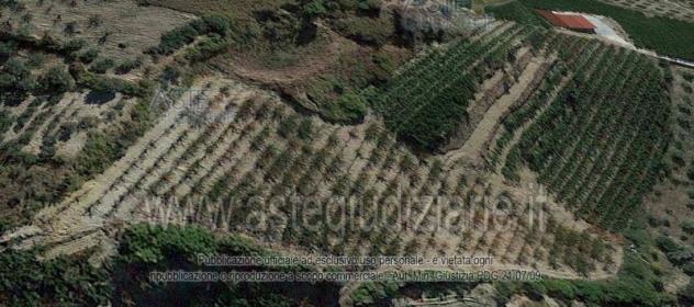 terreno agricolo in vendita a Bivona