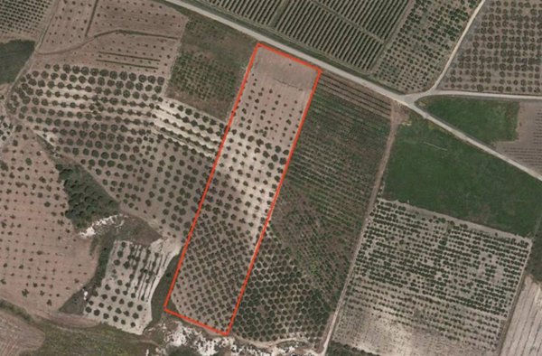 terreno agricolo in vendita a Calamonaci