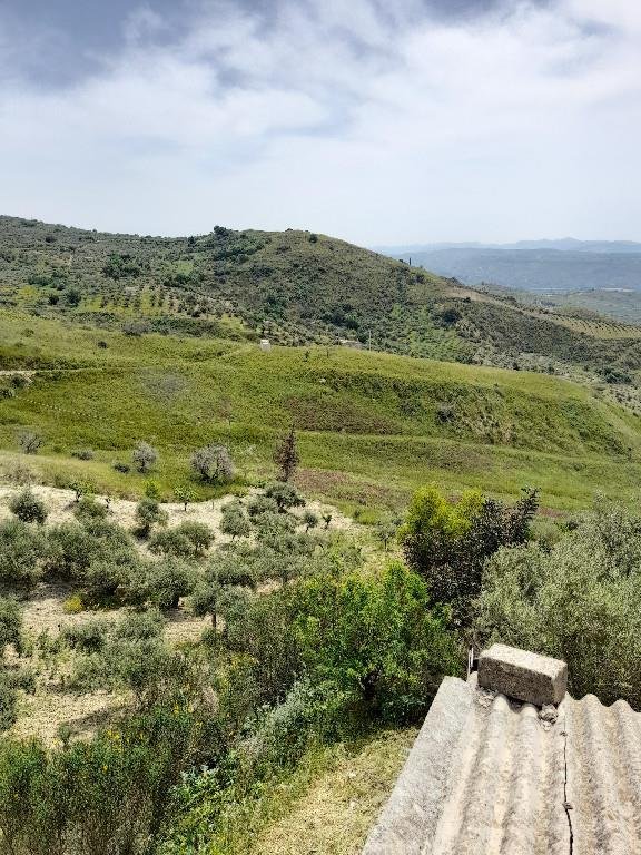 terreno agricolo in vendita a Caltabellotta