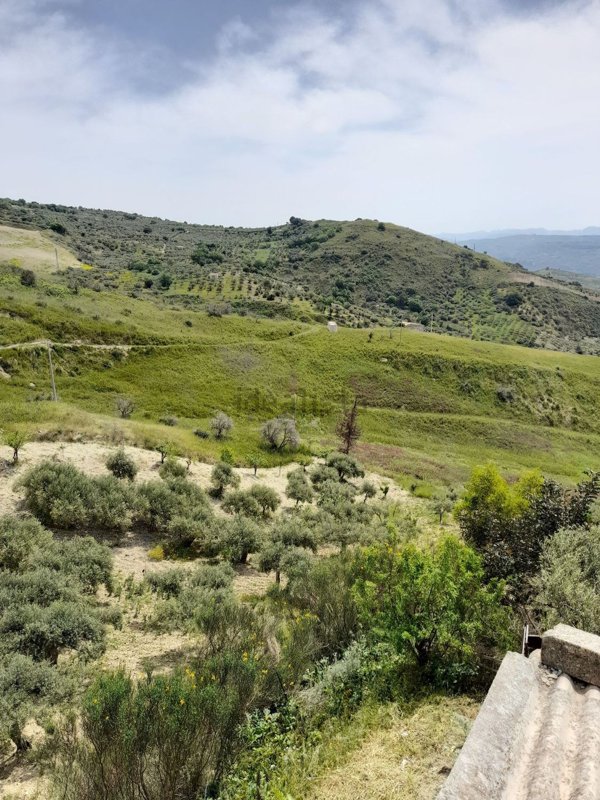 terreno agricolo in vendita a Caltabellotta