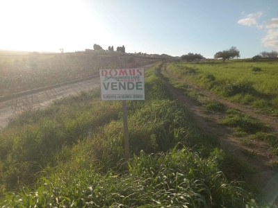 terreno agricolo in vendita a Camastra