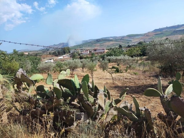 terreno agricolo in vendita a Camastra